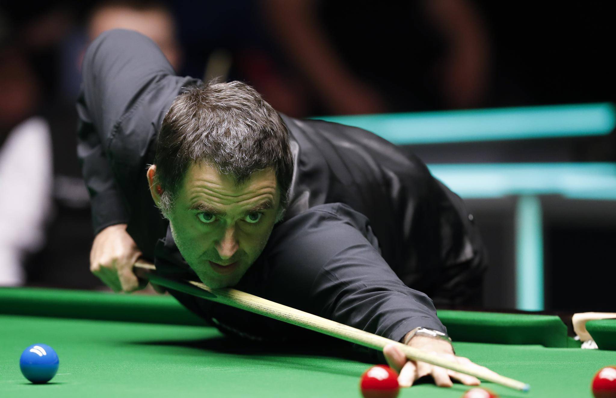 这样积极的 这样积极的