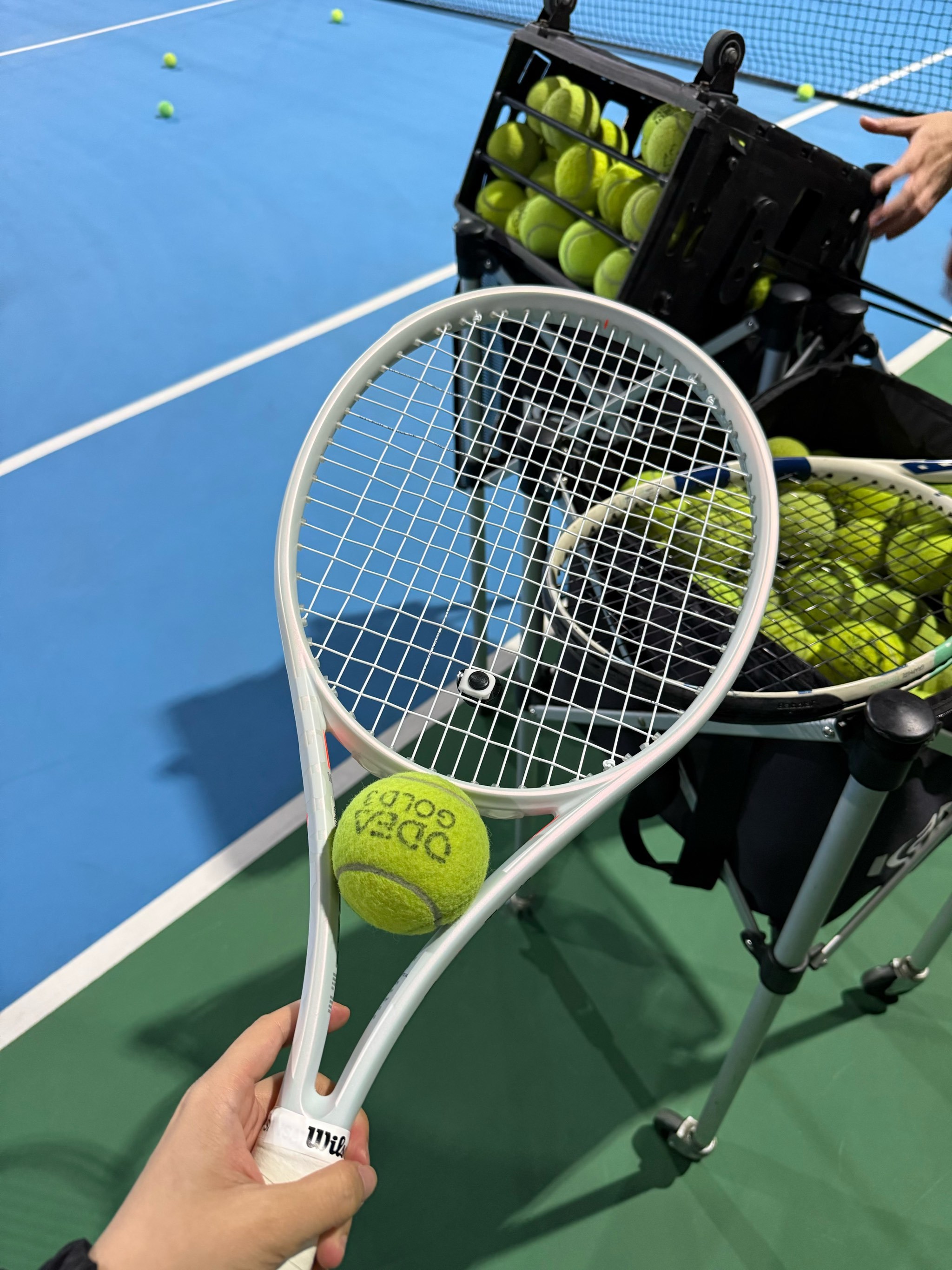 往往会输得 往往会输得