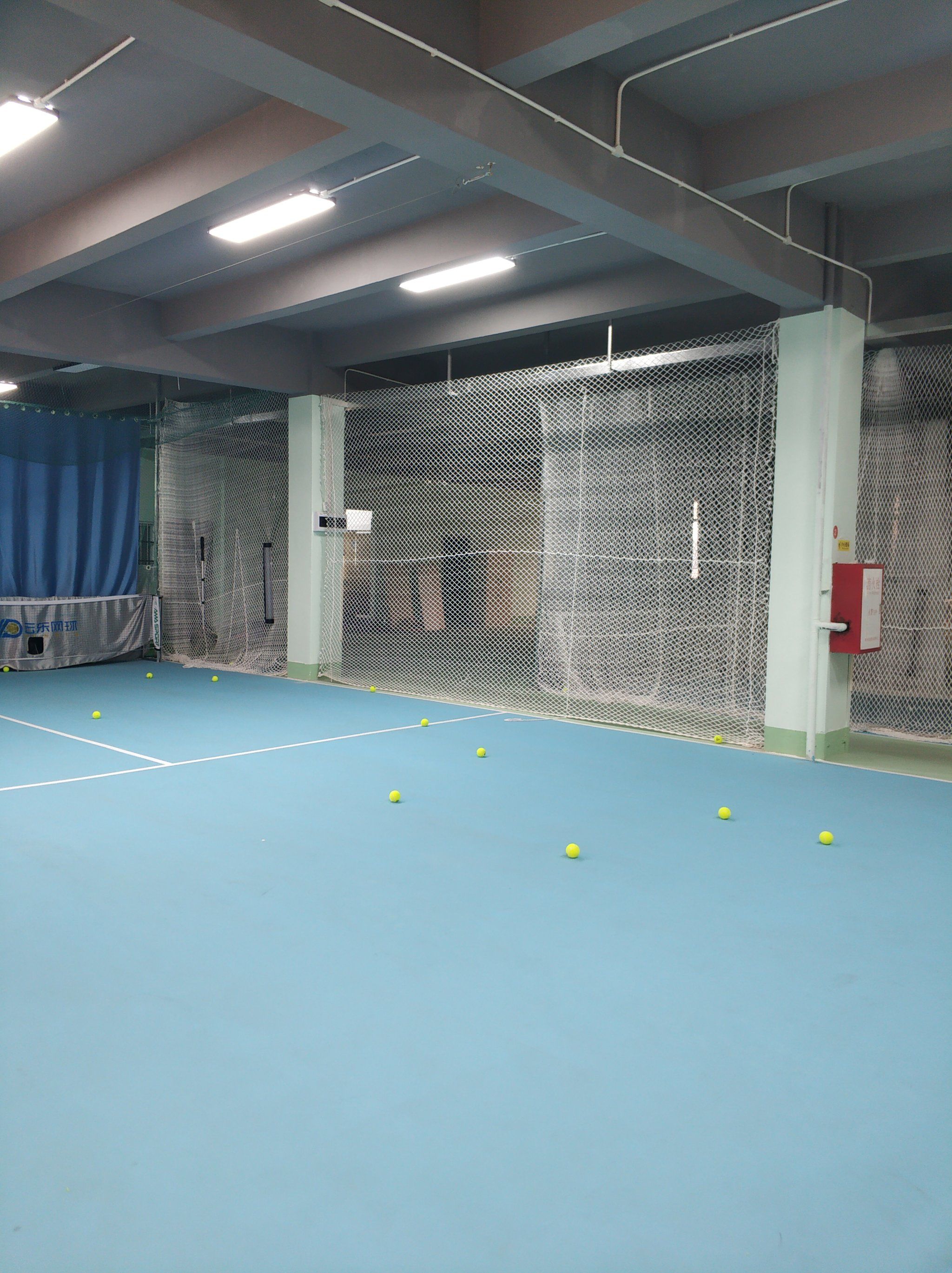 新前锋在 新前锋在