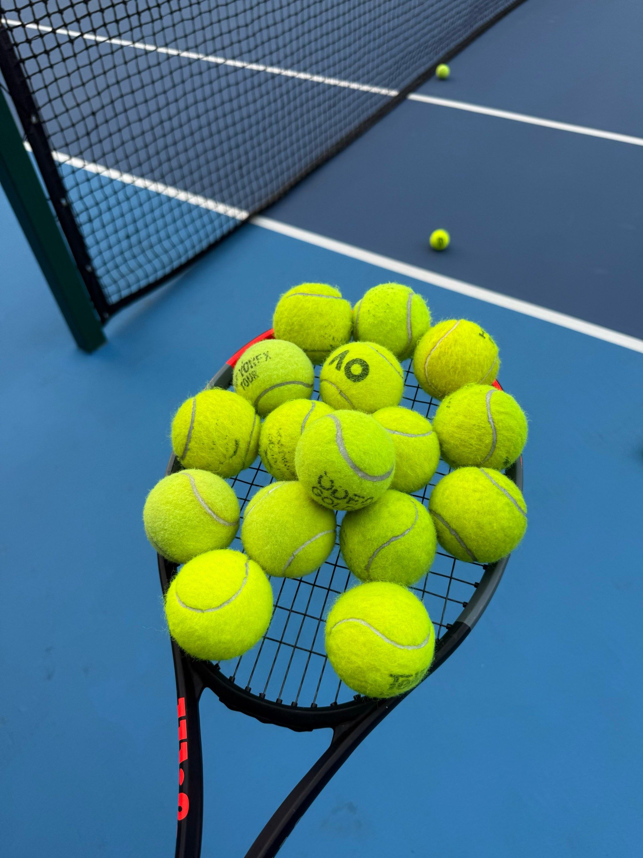 来发展的潜 来发展的潜